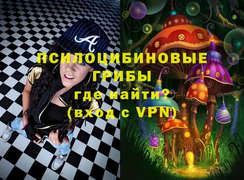 Галлюциногенные грибы Psilocybe  Нюрба 